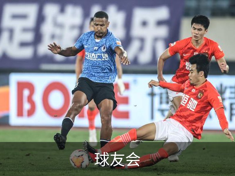 球友会简介
